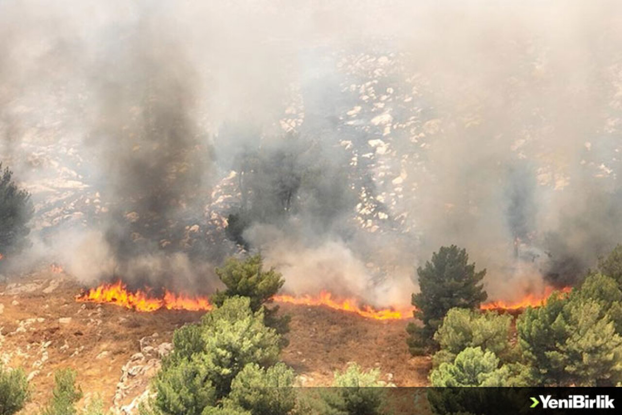 Adıyaman'da ormanlık alanda çıkan yangına müdahale ediliyor