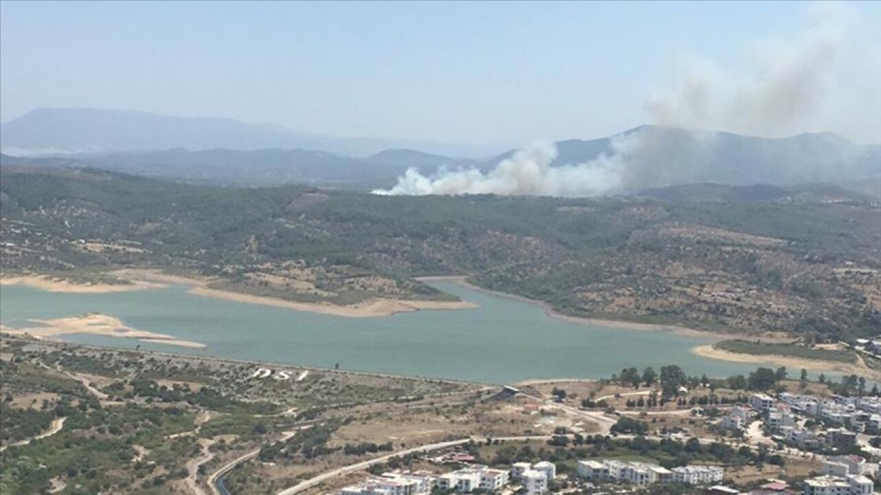 Muğla'nın Milas ilçesinde orman yangını çıktı