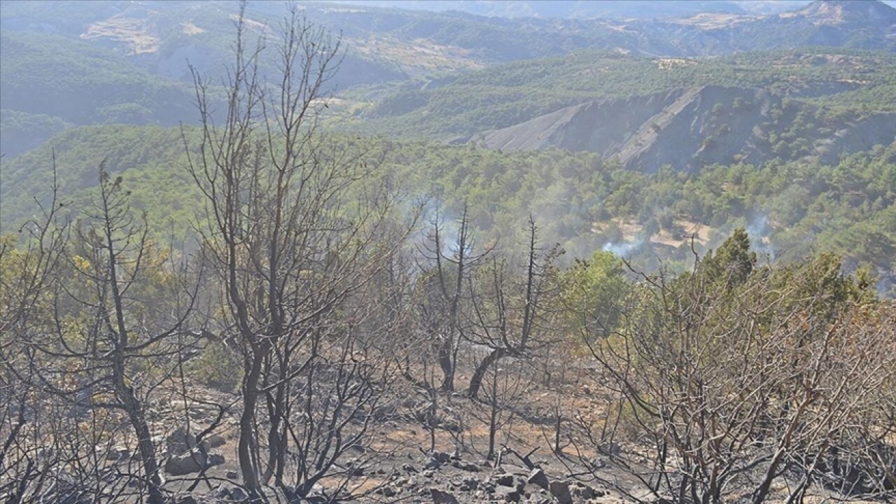 Adıyaman'da çıkan orman yangınına müdahale ediliyor