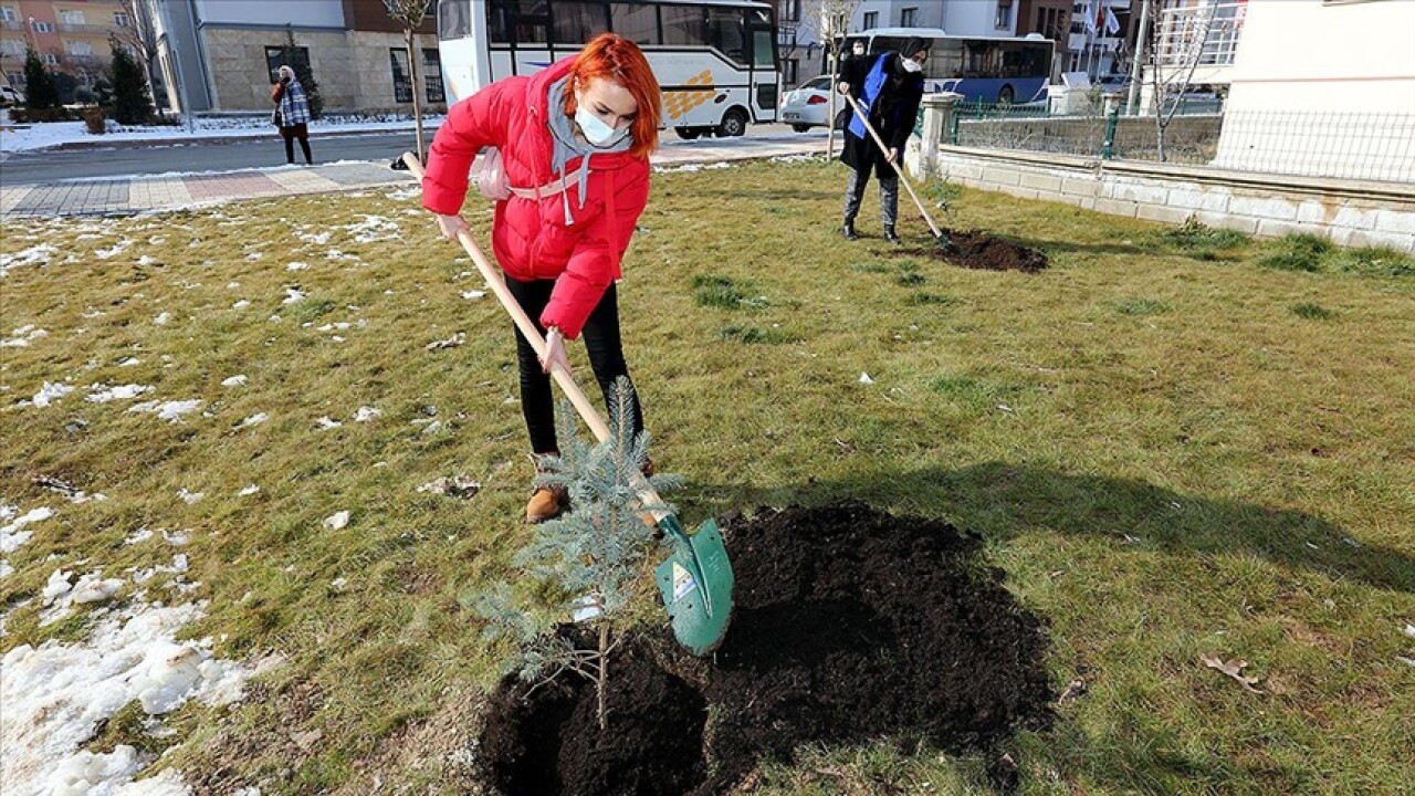 Elazığ depreminde hayatını kaybeden 41 kişi için 41 bin fidan toprakla buluşuyor