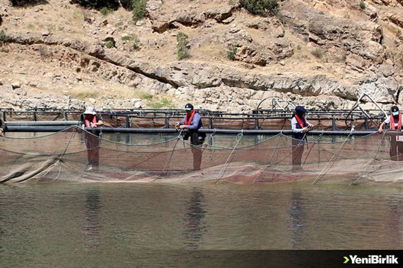 Elazığ'da alabalık üreten kadınlar ekmeğini Fırat Nehri'nden kazanıyor