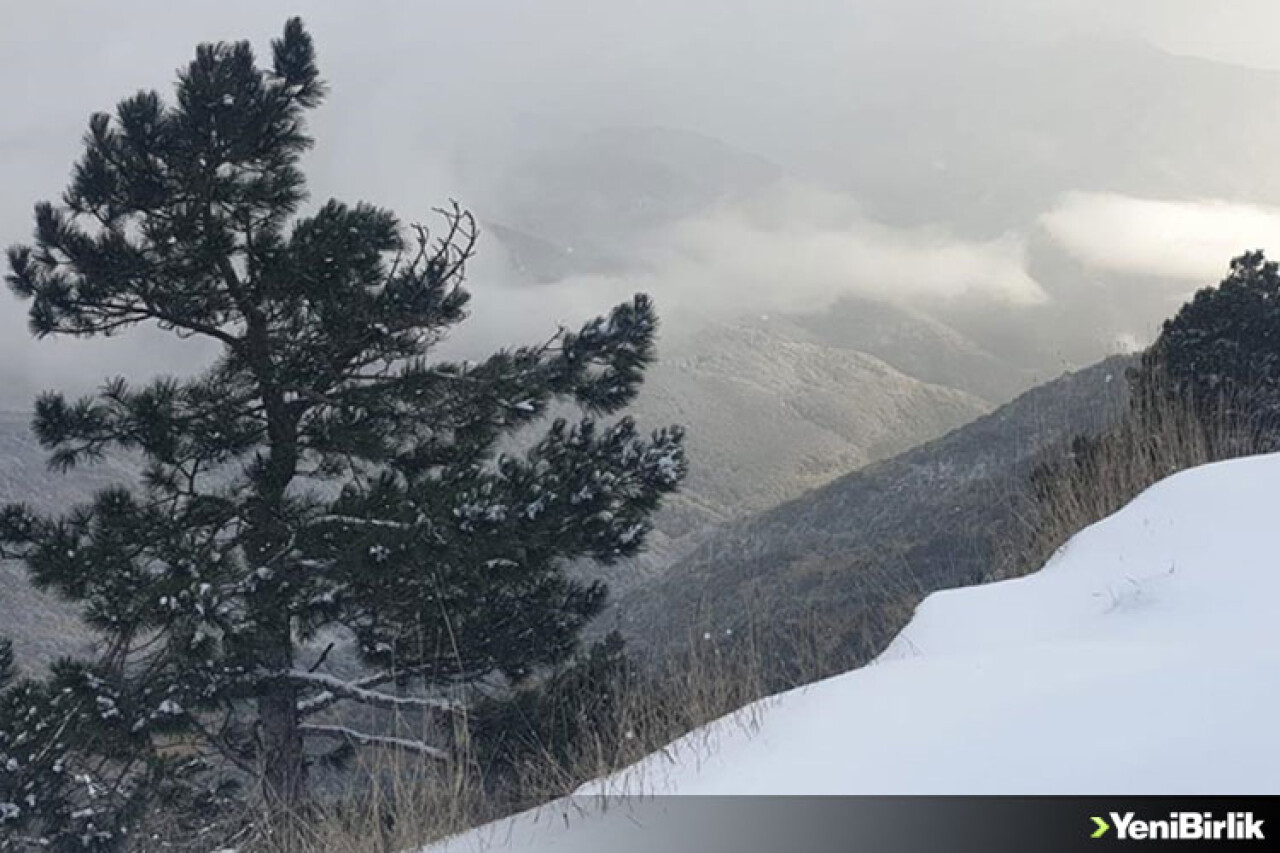 Kazdağı Milli Parkında kar manzaraları