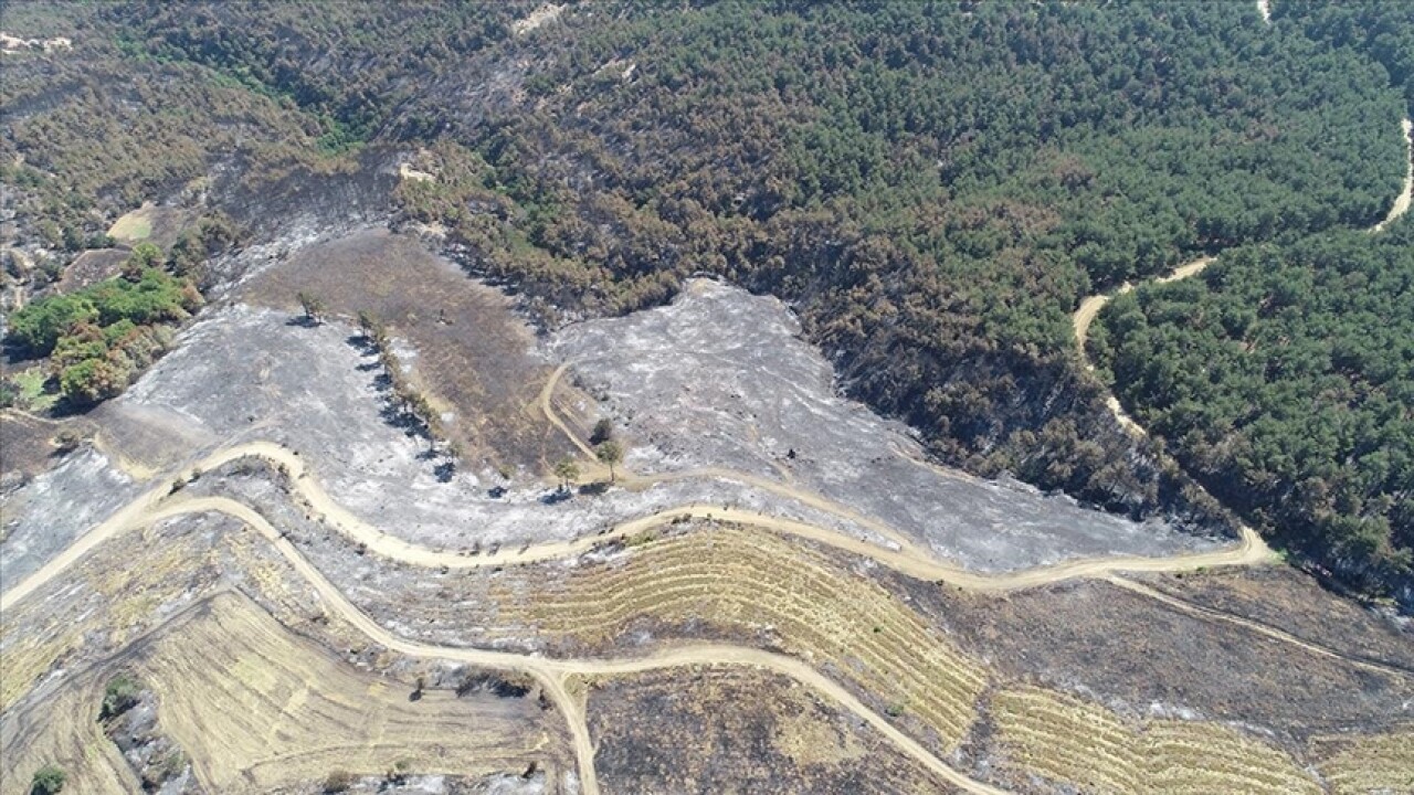 Çanakkale'deki orman yangını sonrası hayat normale dönmeye başladı