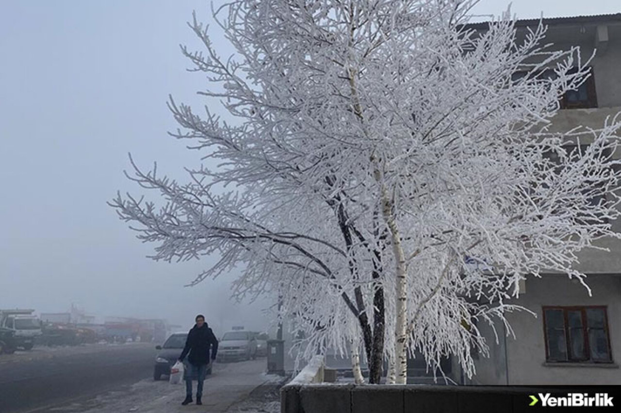 Ardahan'da sis ve kırağı etkili oldu