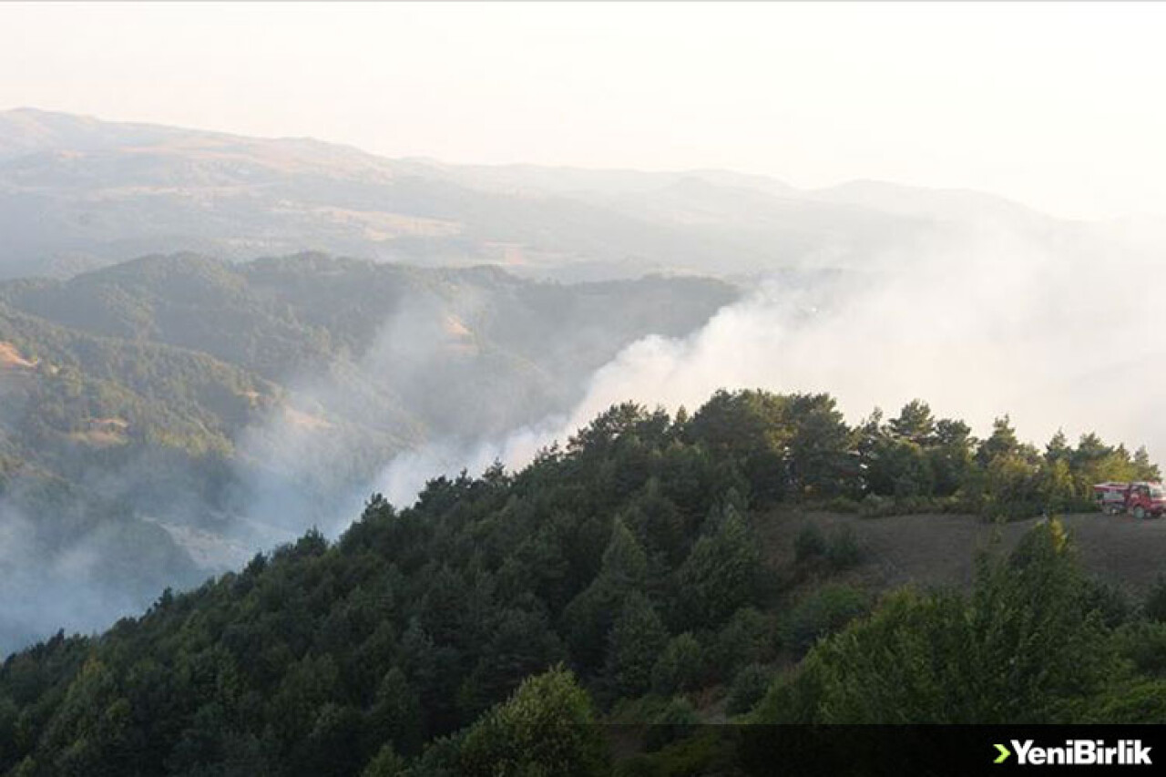 Tokat'taki orman yangını kontrol altına alındı