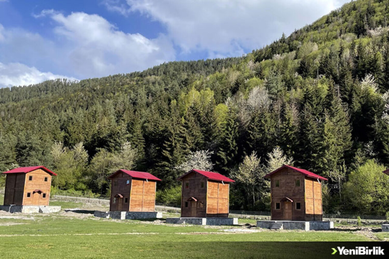 Posof'un ormanlar arasındaki bungalov evleri cezbedecek