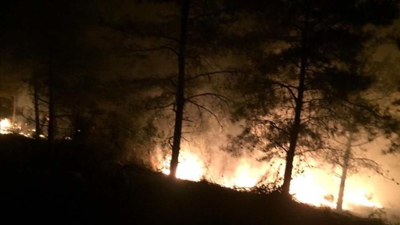 Hatay'da orman yangını çıktı