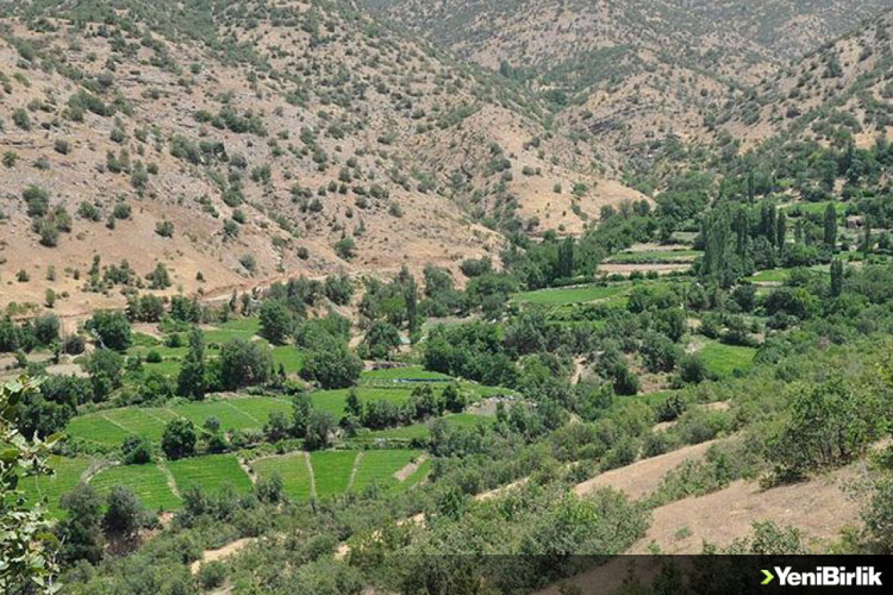 Hakkari'nin terörden temizlenen mahallelerinde 25 yıl sonra tarım yapılıyor