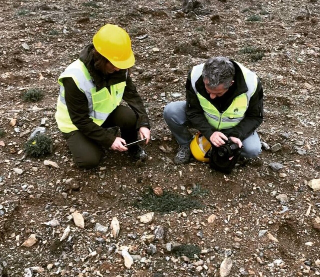 Kastamonu'nun Hanönü ilçesinde 35 endemik tür tespit edildi