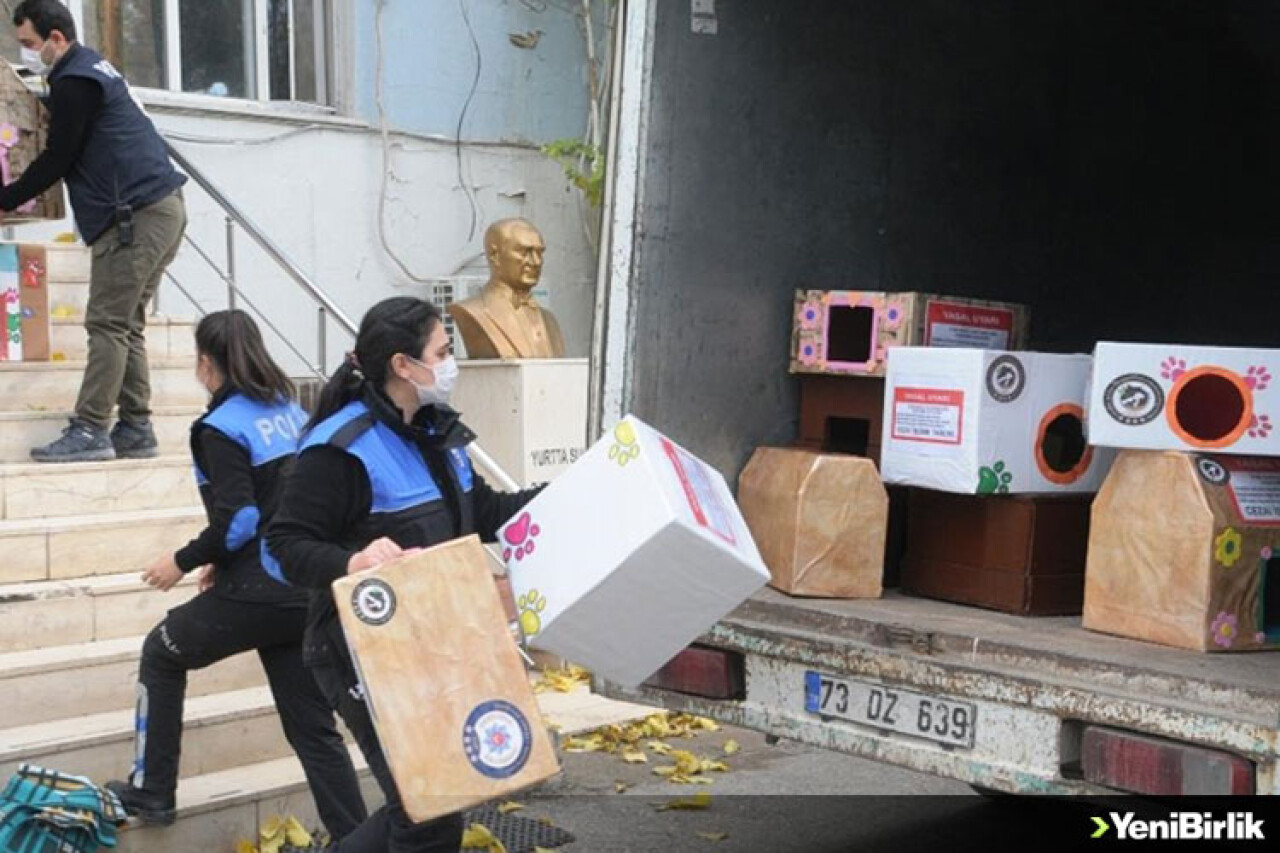 Cizre'de polis, sokak hayvanları için kedi ve köpek evleri yaptı