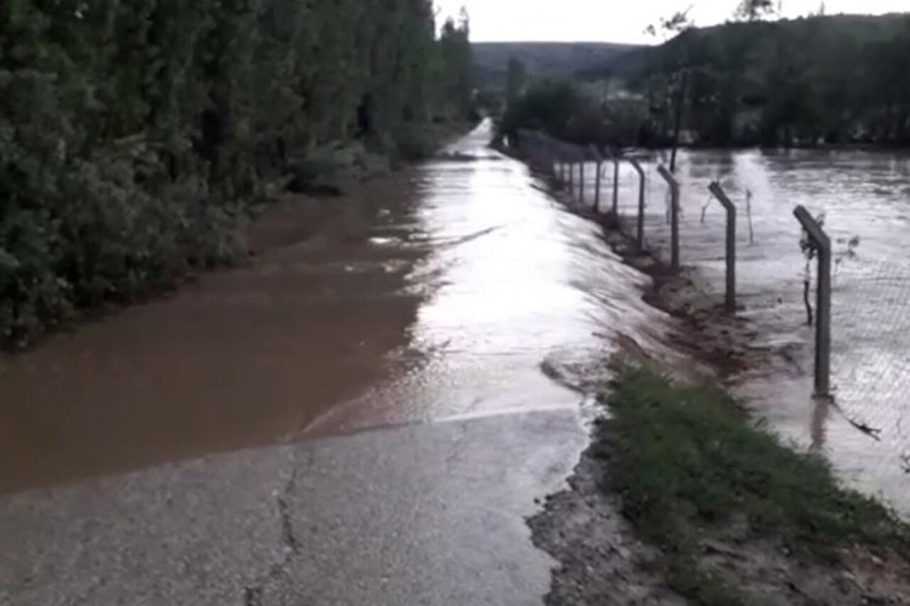 Çorum'da sağanak ekili alanlara zarar verdi