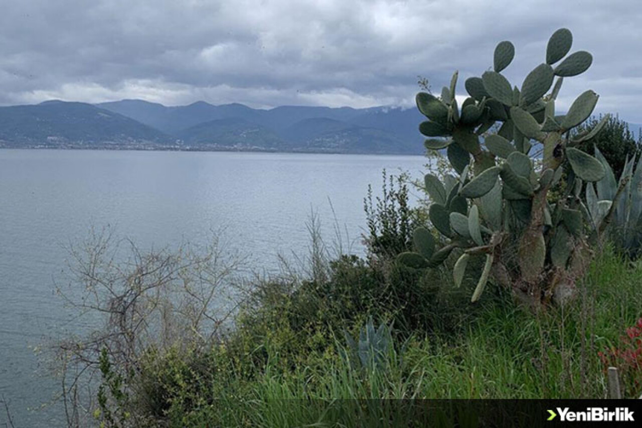 Sapanca Gölü'nde su seviyesi yağışlarla artmaya devam ediyor