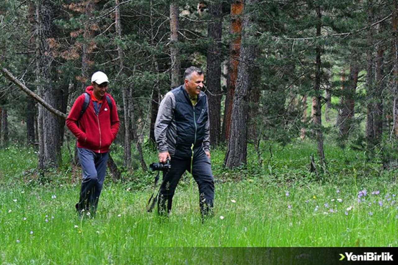 Kars'taki eko turizm alanı, doğayla baş başa vakit geçirme imkanı sunuyor