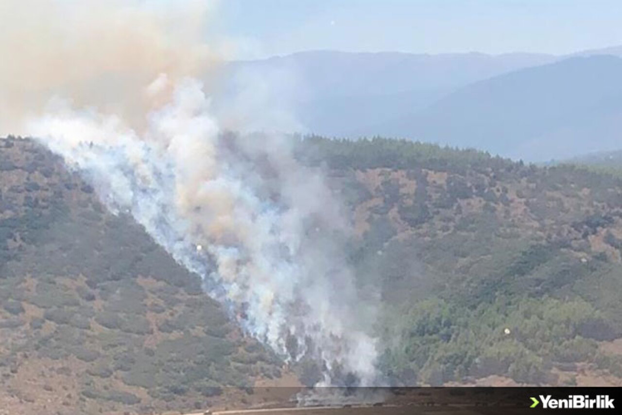 Burdur'da çıkan orman yangını kontrol altına alındı