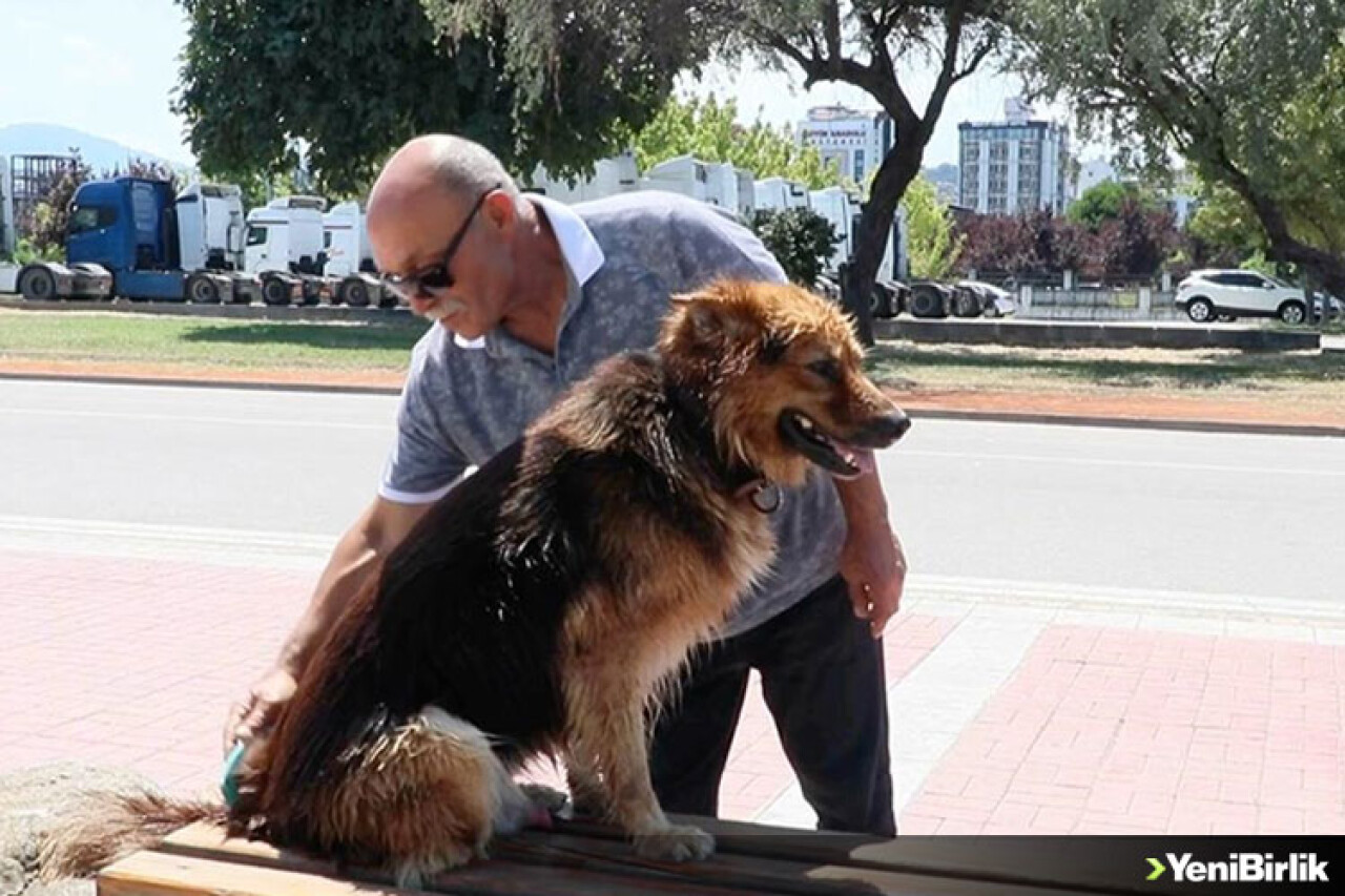 Köpek 'Dost'un ünü kafenin önüne geçti