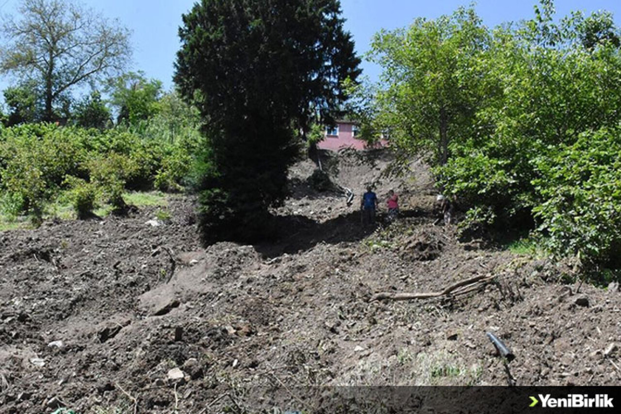 Düzce'deki sel felaketi fındık bahçelerine de zarar verdi