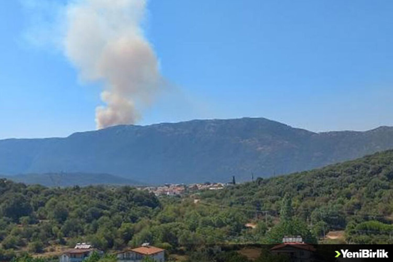 Antalya'nın Kaş ilçesinde makilik alanda yangın çıktı