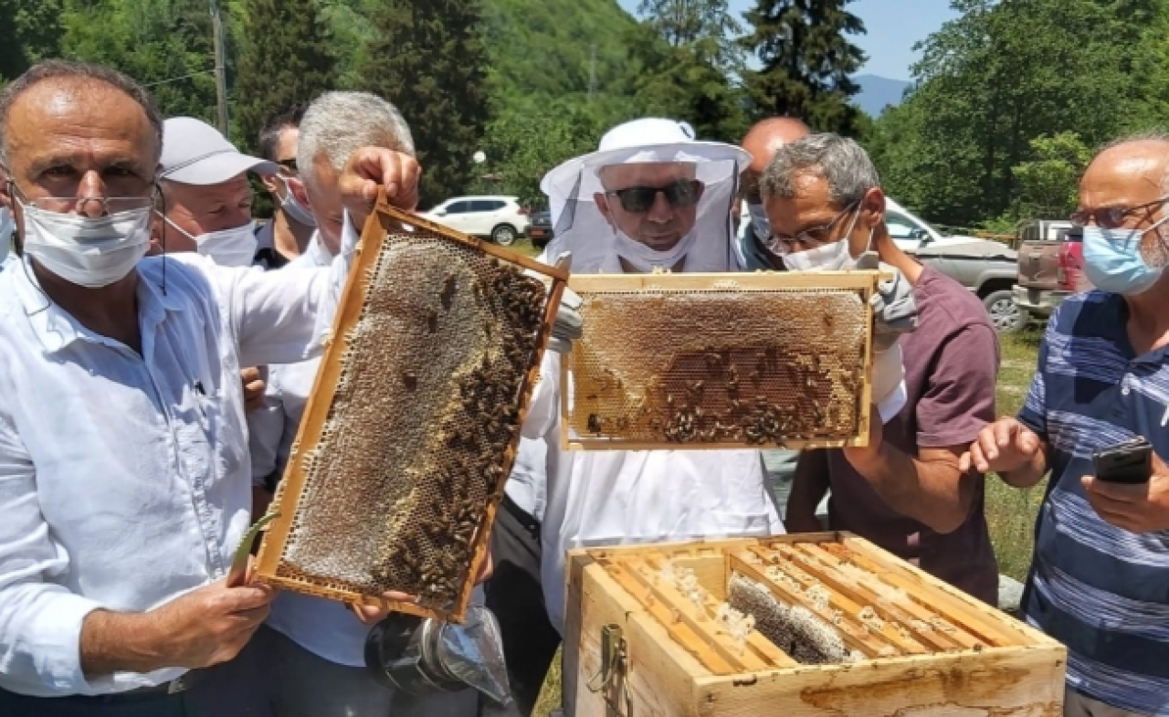 Sezonun ilk bal hasadı yapıldı