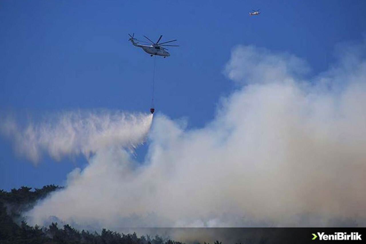 Çanakkale'de orman yangını çıktı