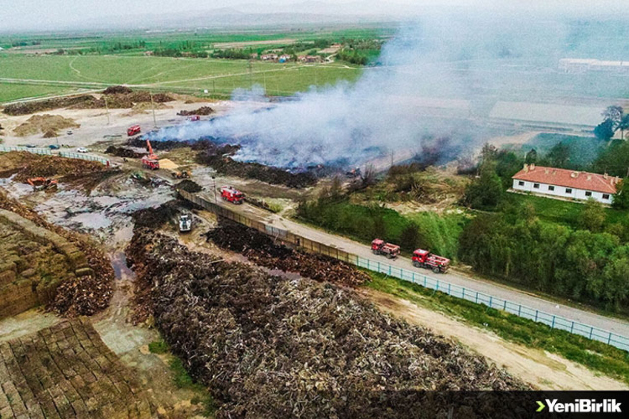 Afyonkarahisar'da biyokütle enerji santralindeki yangında 30 bin ton odun ve tomruk yandı