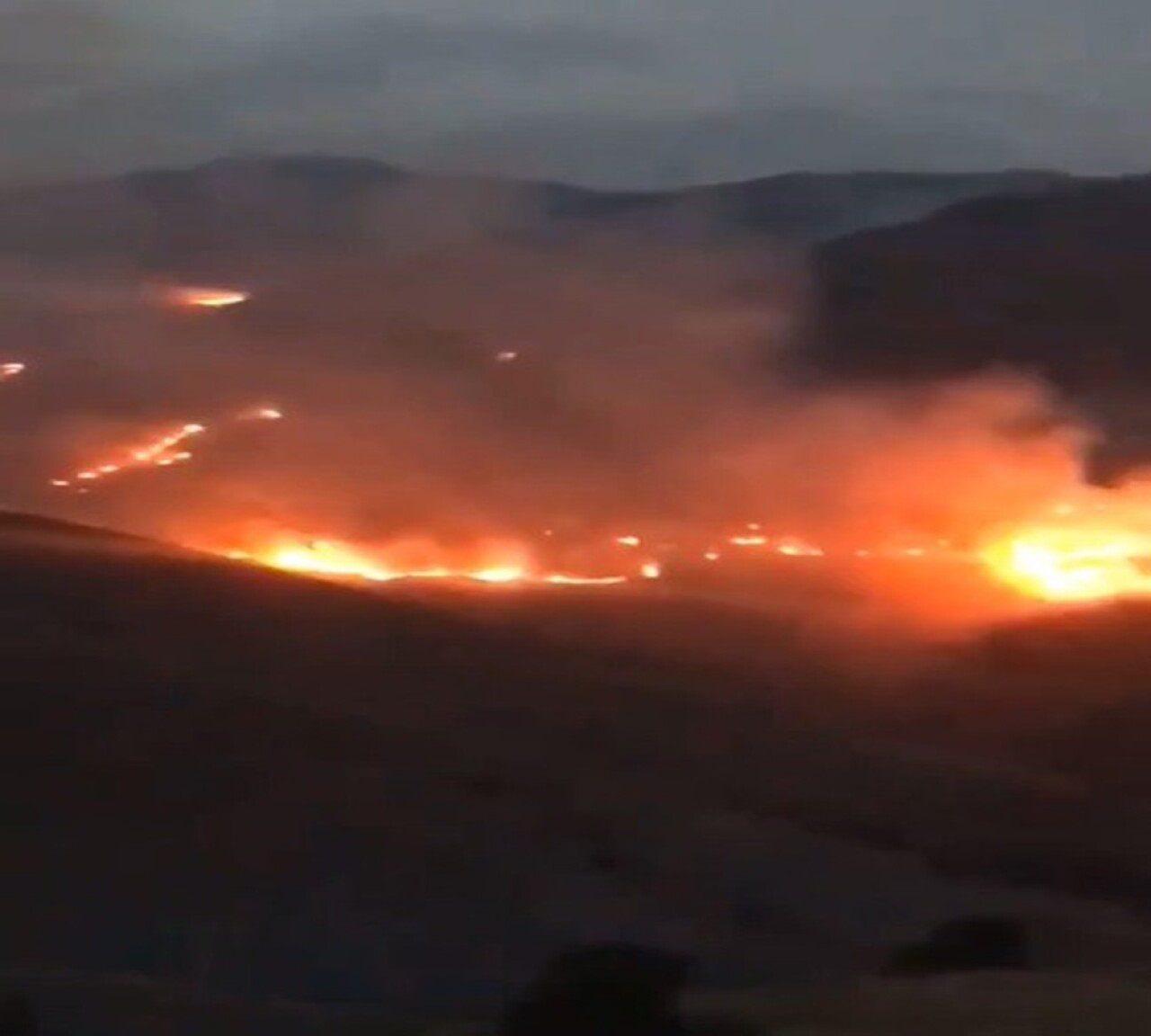 Bayburt'ta orman yangını