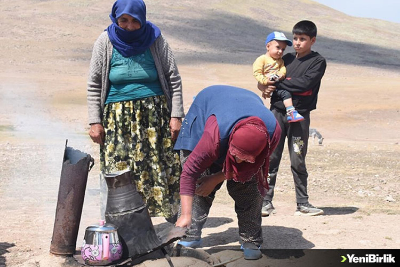 Erzurum'un yaylaları, doğu ve güneydoğudan göçer aileleri ağırlıyor