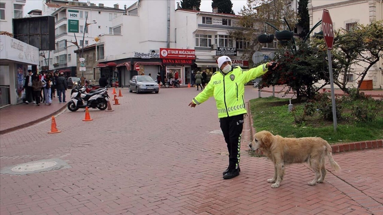 Trafik polisinin sadık arkadaşı 'Köpük'