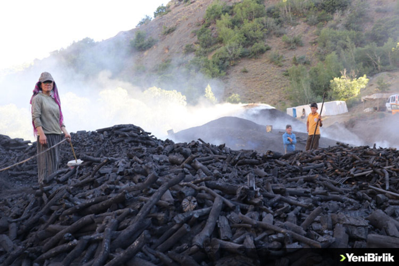 Meşe odununu bunaltıcı sıcakta mangal kömürüne dönüştürüyorlar