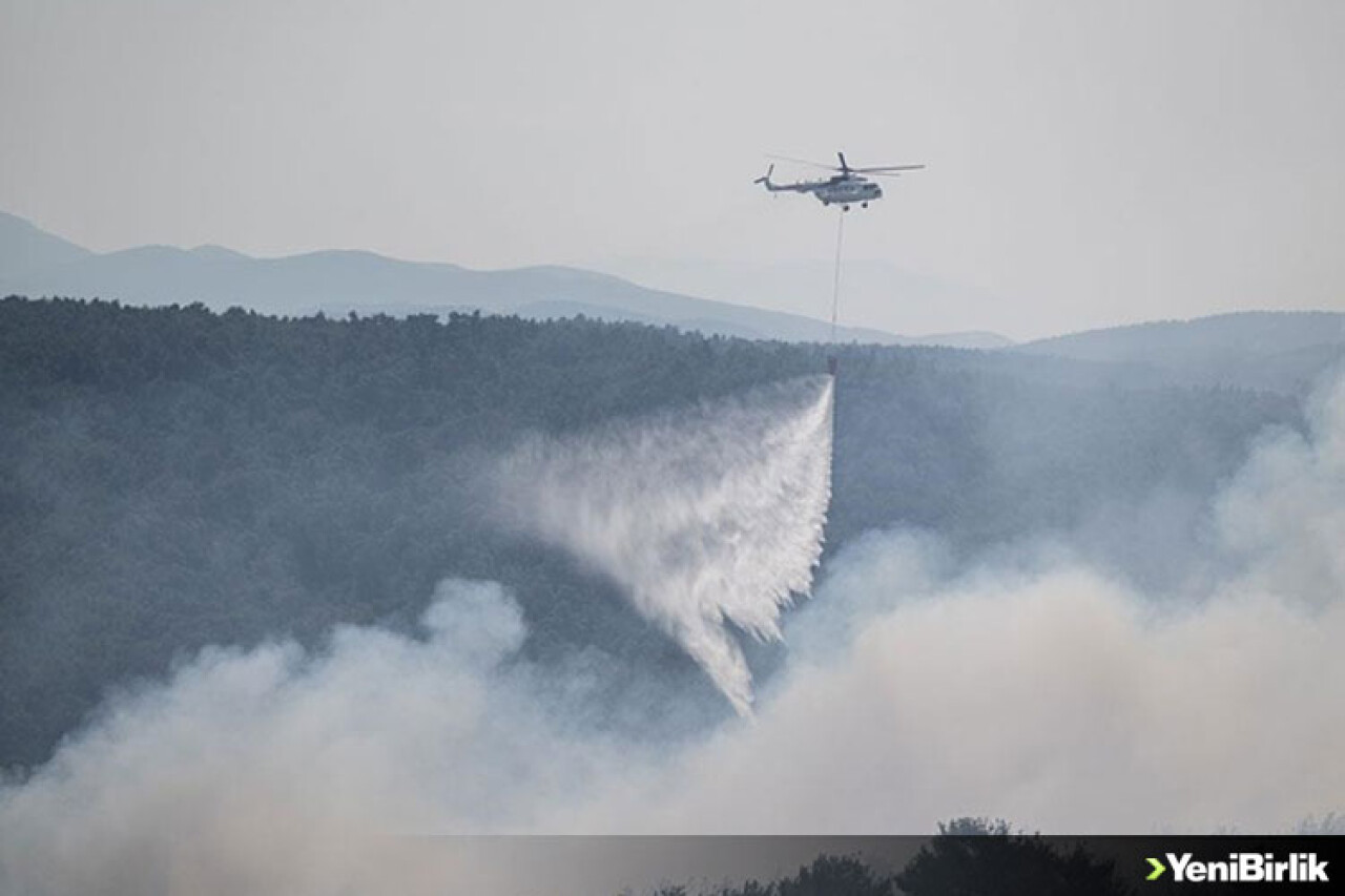 Çanakkale'de iki köy arasında rüzgarla yeniden alevlenen yangına müdahale ediliyor