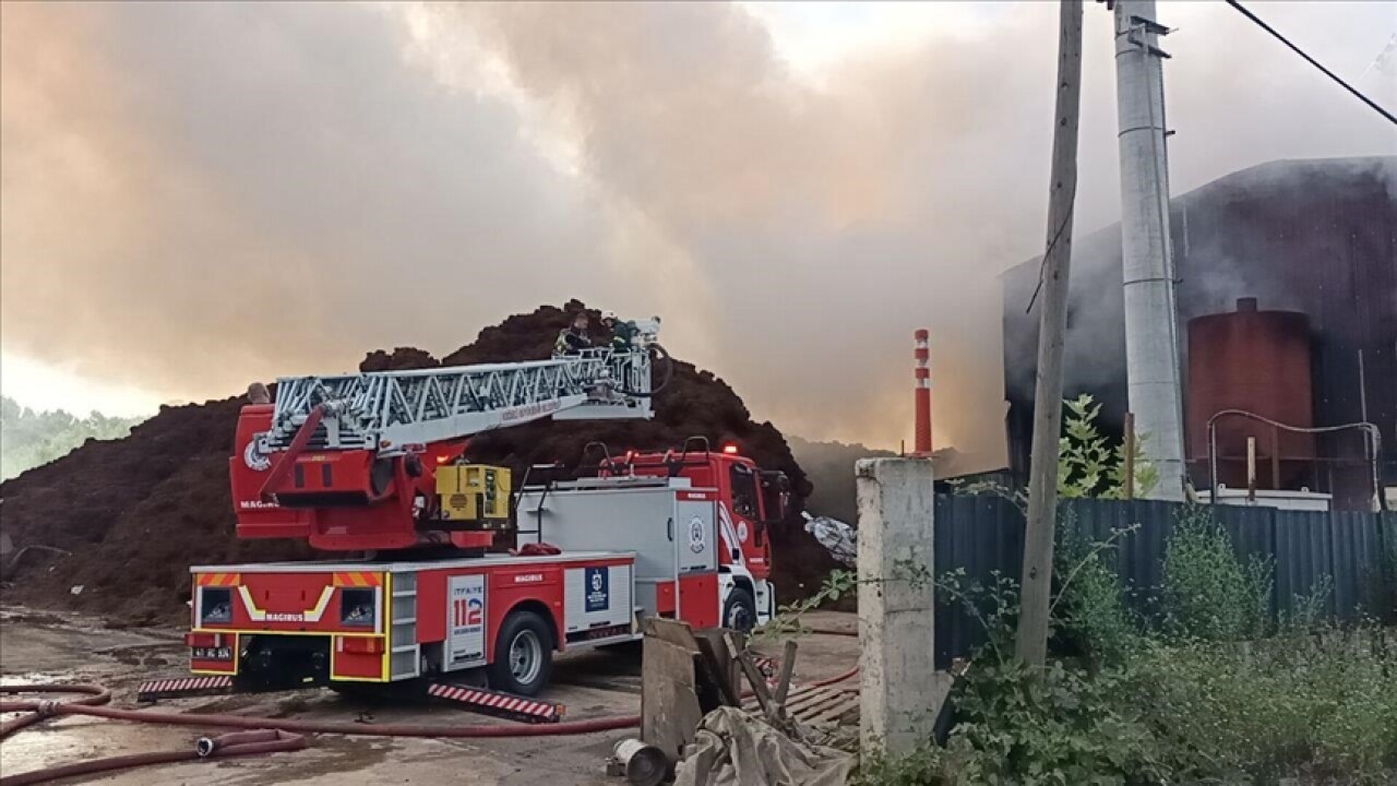 Kocaeli'de geri dönüşüm fabrikasında çıkan yangına müdahale ediliyor