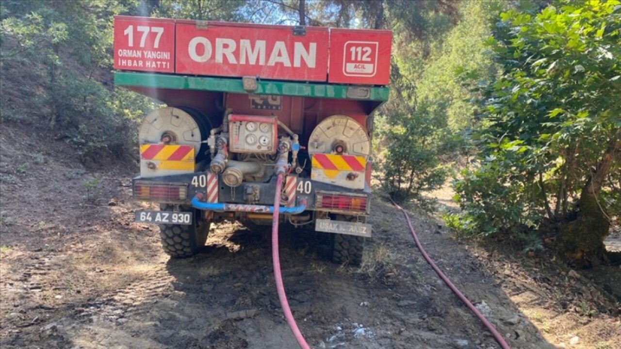 Uşak'ta çıkan orman yangını söndürüldü