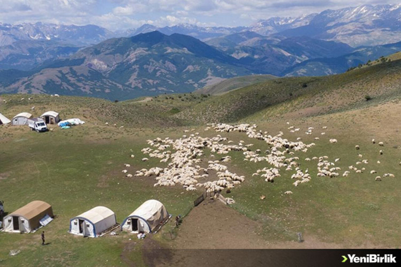 Tunceli'de huzura kavuşan yayla ve meralar artık göçerleri ağırlıyor