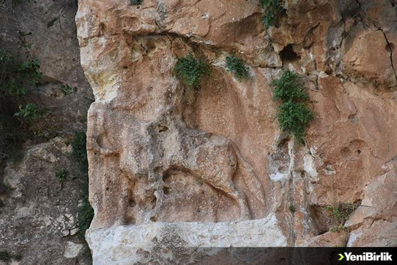 Şırnak'ta 6 bin yıllık at üstündeki insan figürlü rölyef tahrip edildi