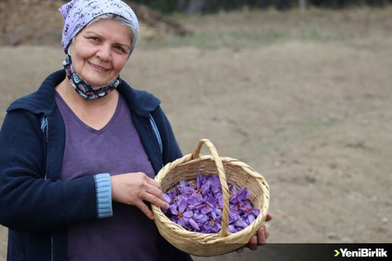 Mucize bitki Dijital Tarım Pazarı üzerinden satılabilecek