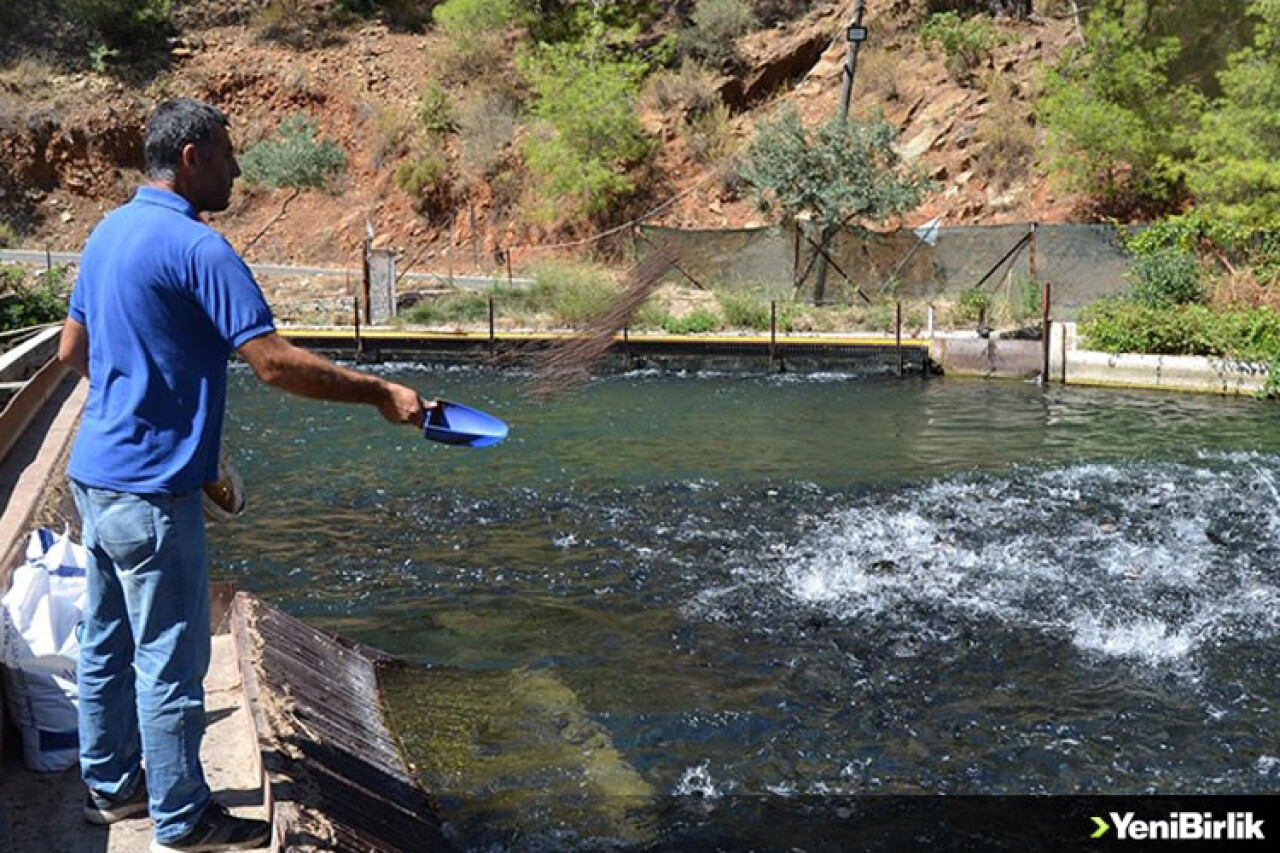 Muğla'dan 94 ülkeye su ürünleri satılıyor