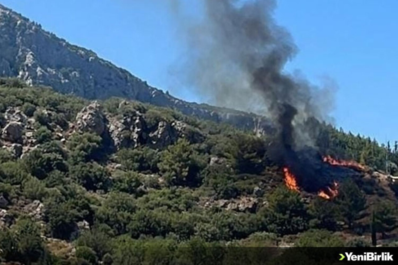 Datça'da ormanlık alanda yangın çıktı