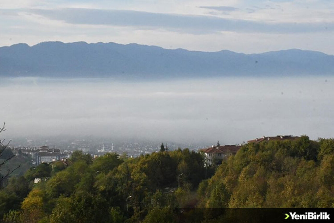 Düzce'de sis etkili oldu