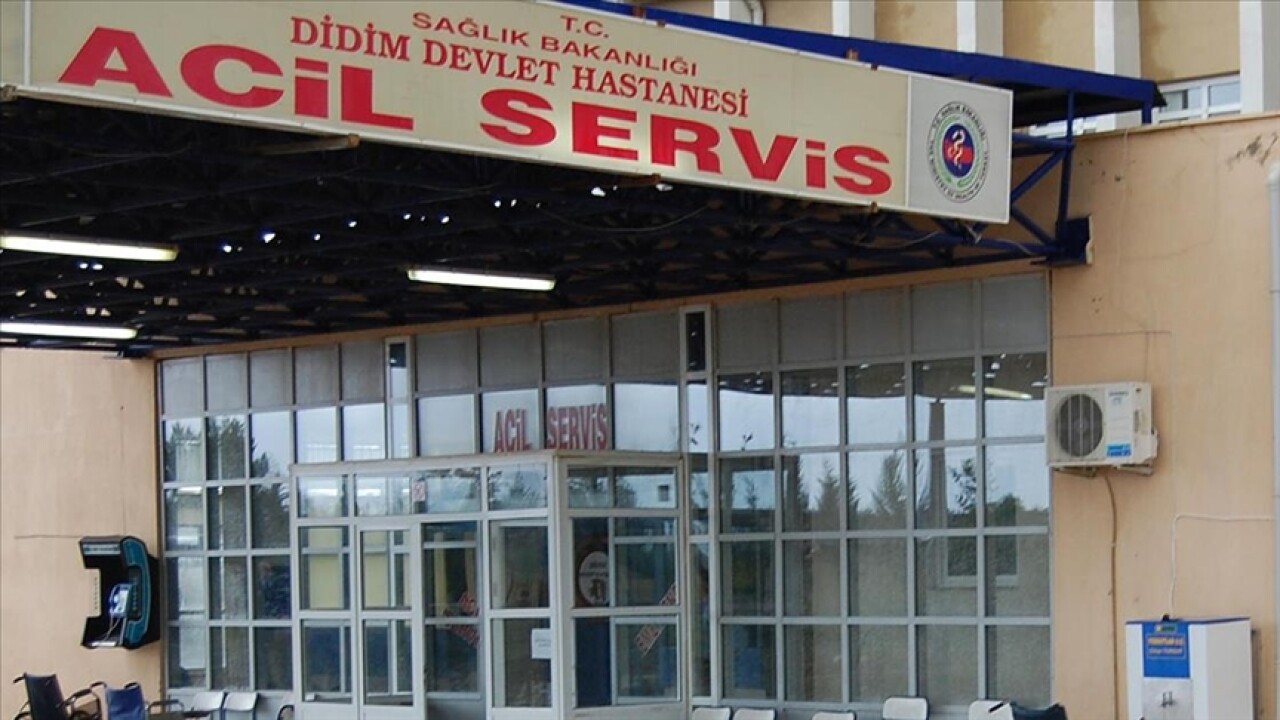 Aydın'da doktorun darbedilmesine ilişkin soruşturma başlatıldı