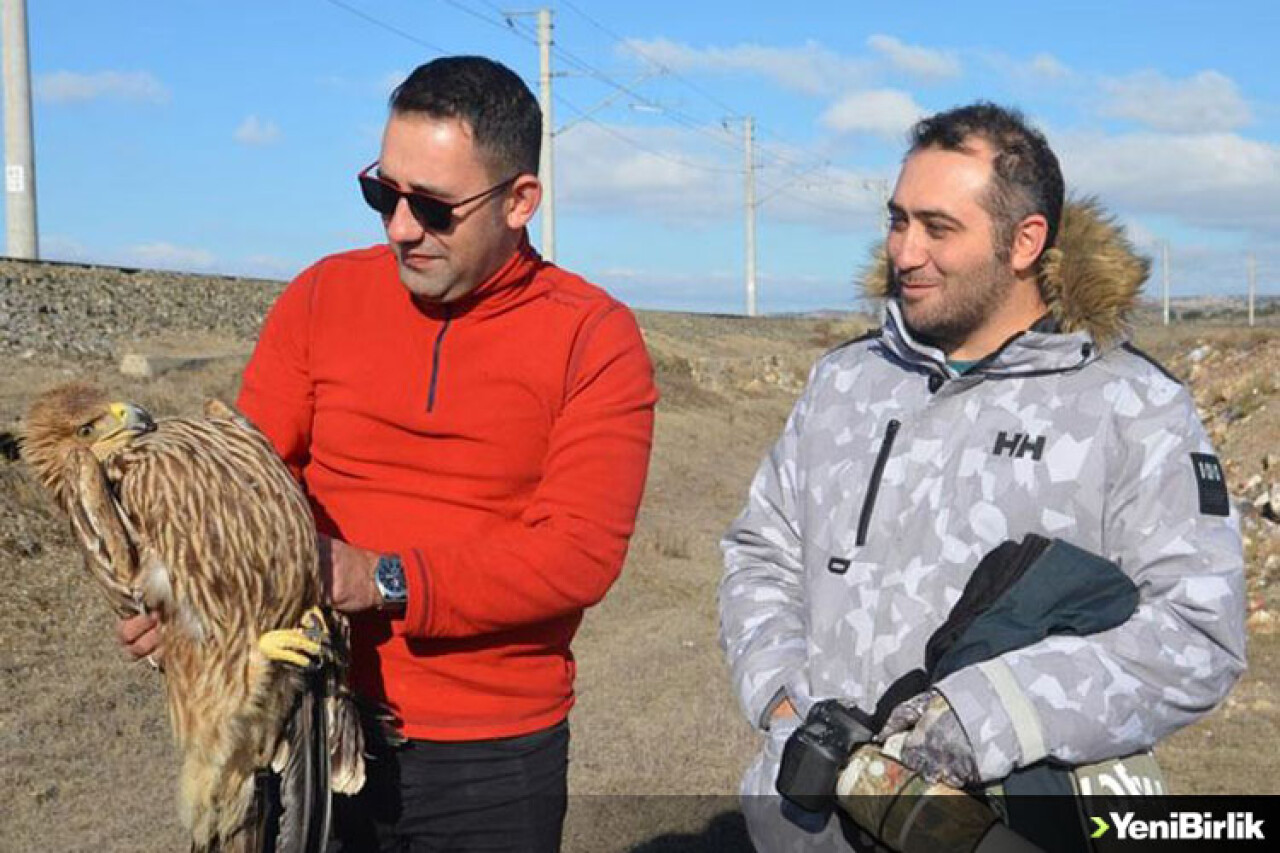 Kütahya'da yaralı şah kartal tedavi altına alındı