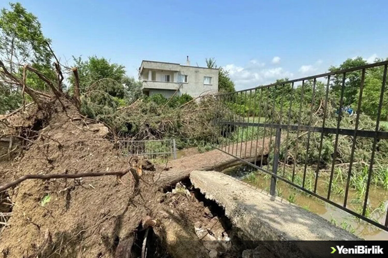 Osmaniye'de fırtına ve sağanak hayatı olumsuz etkiledi