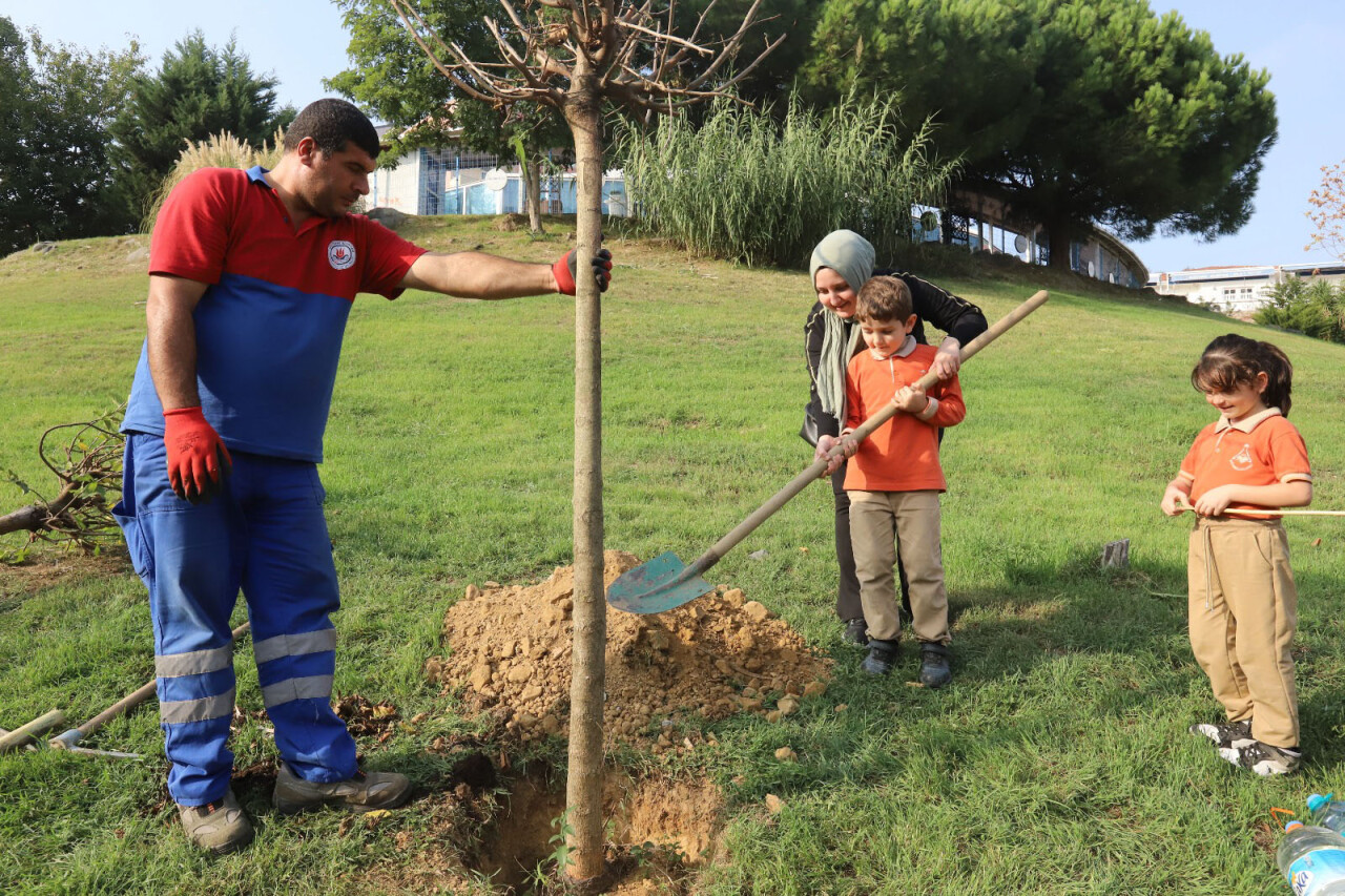 Kağıthane Belediyesi ilçeye 60 bin ağaç kazandırdı