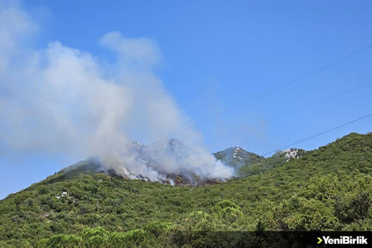 Antalya'nın Demre ilçesinde orman yangını çıktı