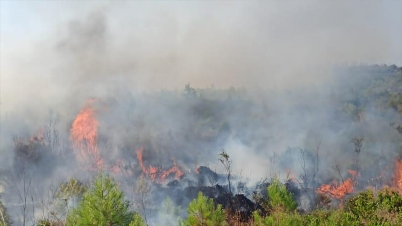 Burdur'da orman yangını çıktı