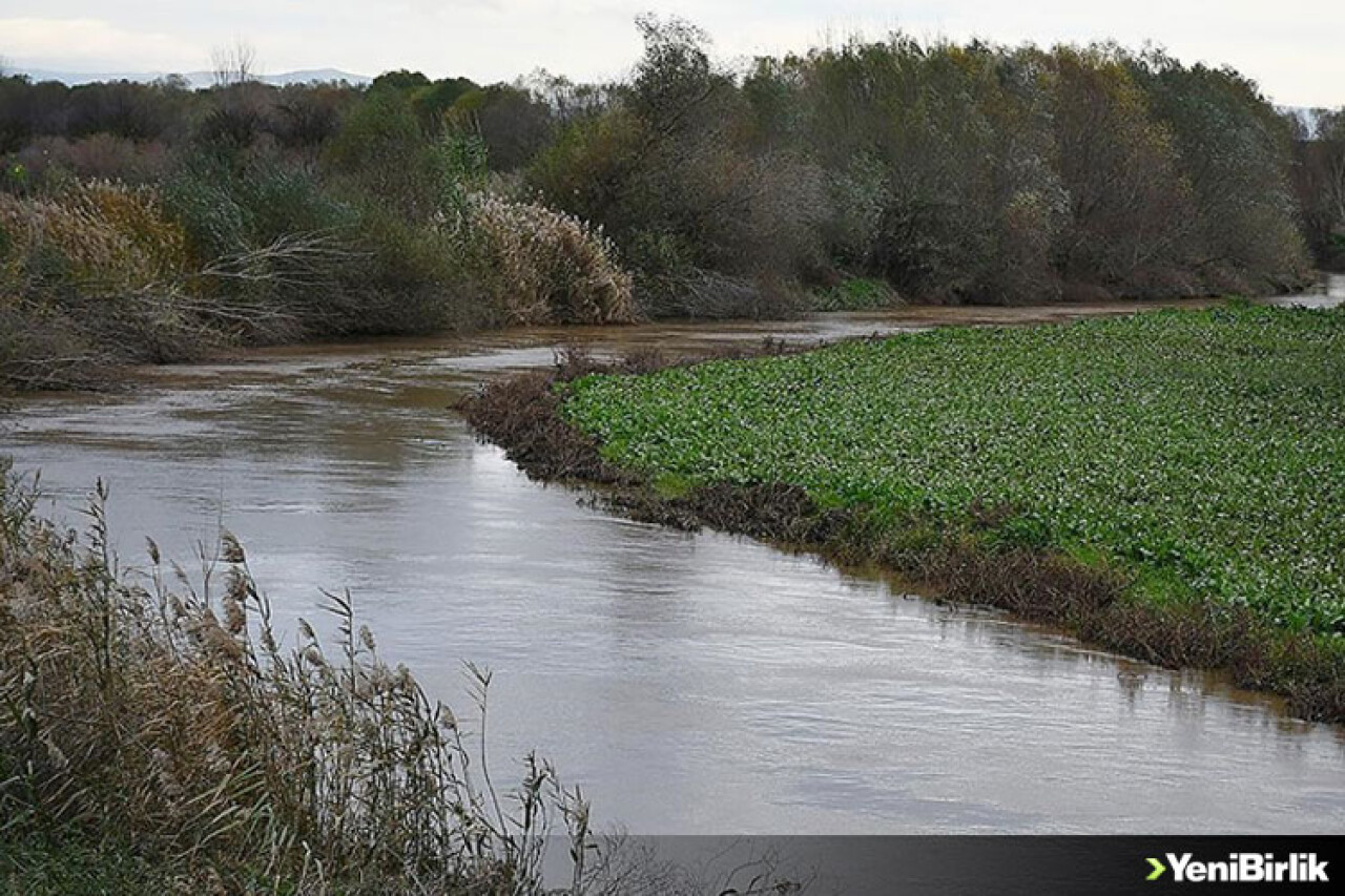 Kuraklıktan etkilenen Gediz Nehri'nin debisi yağışlarla yükseldi