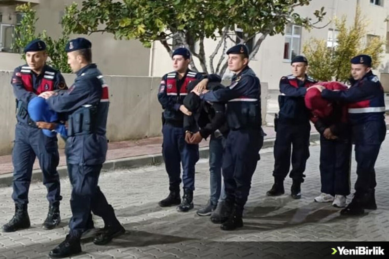 Balıkesir'de zeytin hırsızlığı yapan 18 şüpheli tutuklandı