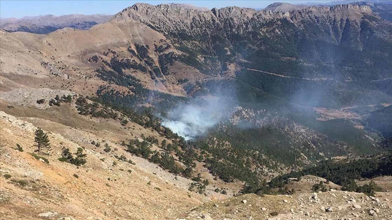 Adana'da çıkan orman yangınına müdahale ediliyor