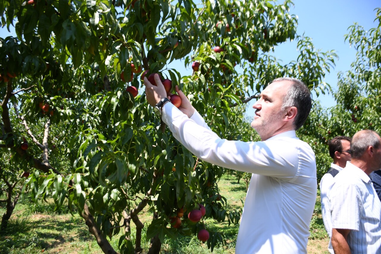 İnegöl Belediyesi çiftçinin yanında