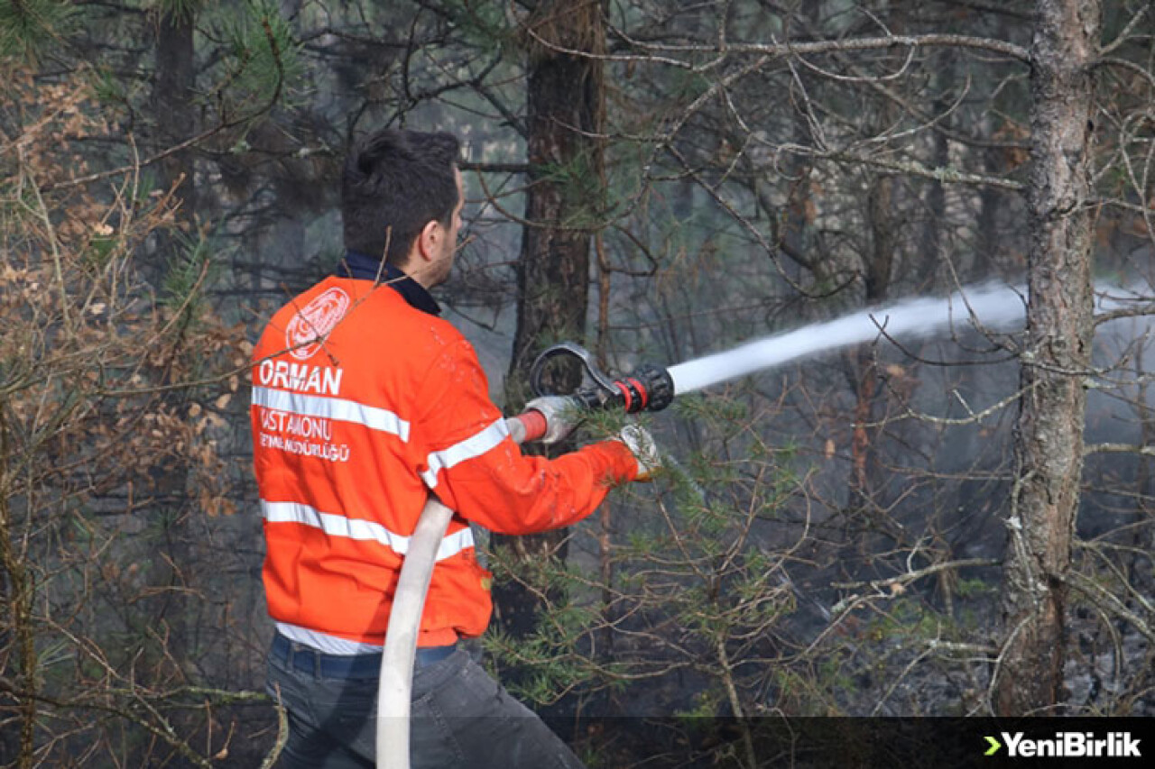 Kastamonu'da orman yangını çıktı