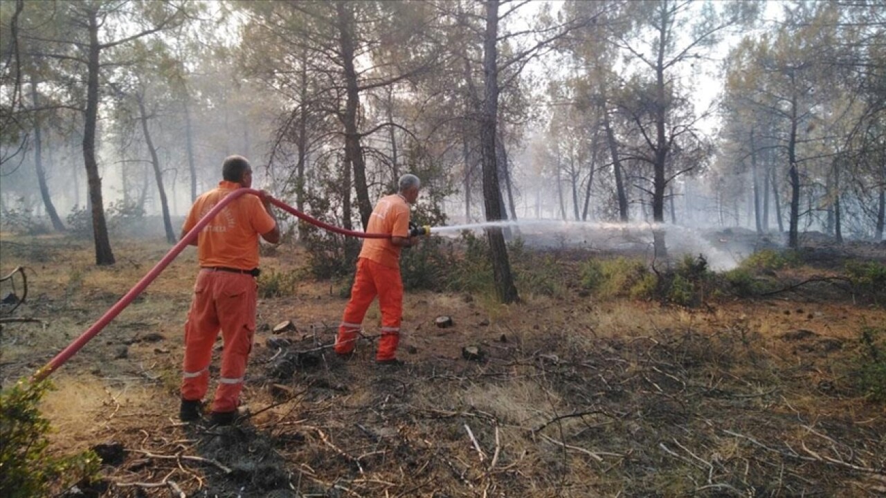 Kilis'te orman yangınına müdahale ediliyor