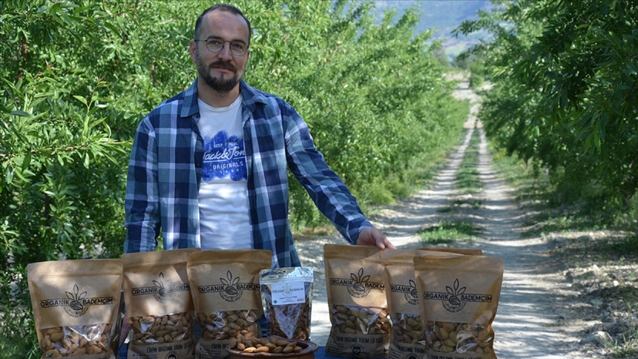 Manisa'da devlet desteğiyle tarlasına badem fidanı diken üretici ihracata başladı